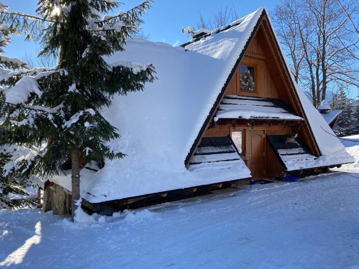 Appartement Mountain Dream à Kościelisko Extérieur photo